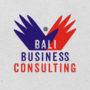 Visa Service | Business Consulting | Bali