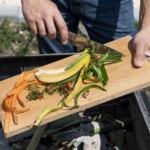 BMKG Heat Alert Bali Issued as Temperature Soars