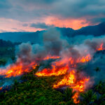 Wildfires in Indonesia: What Tourists Need to Know